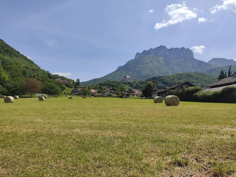 Apartment Bel Appartement Au Calme A 5 Minutes Du Village Menthon-Saint-Bernard